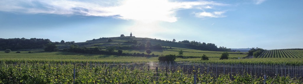 Ferienwohnung Maier Bad Dürkheim Wachenheim Flaggenturm Weinberge Urlaub