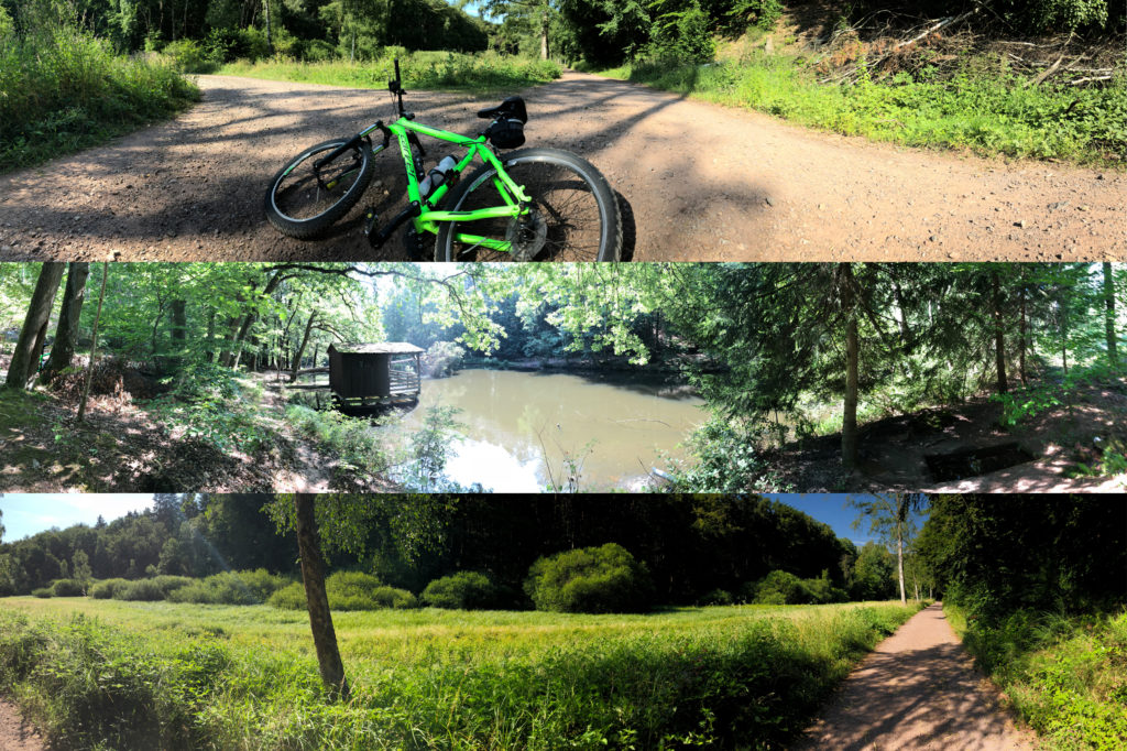 Biking Bad Dürkheim Radtour Pfälzer Wald Ferienwohnung Bad Dürkheim Fewo Maier